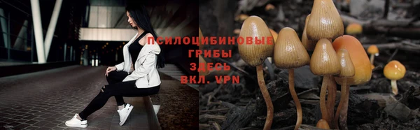 метамфетамин Белокуриха