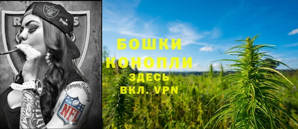 PSILOCYBIN Белоозёрский