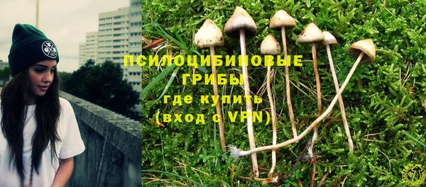 метамфетамин Белокуриха