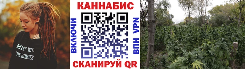 Бошки марихуана AK-47 Гудермес